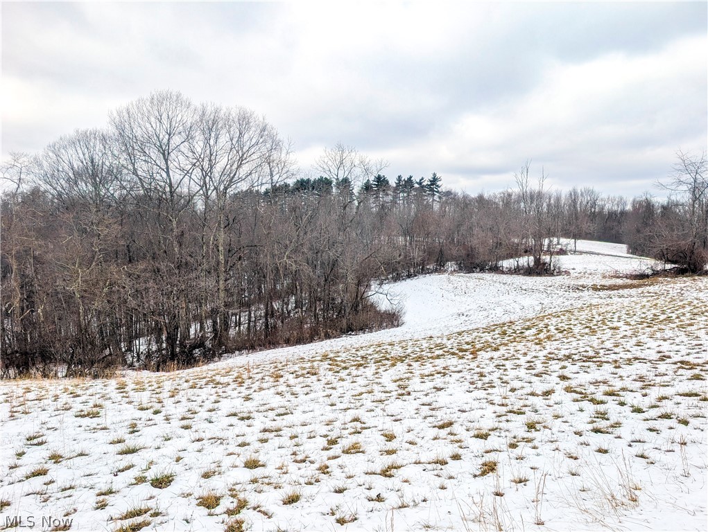 0 Tract 12 Trail 233 Summerfield OH 43788