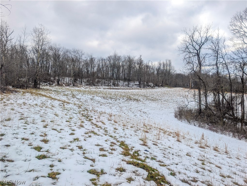 0 Tract 12 Trail 233 Summerfield OH 43788