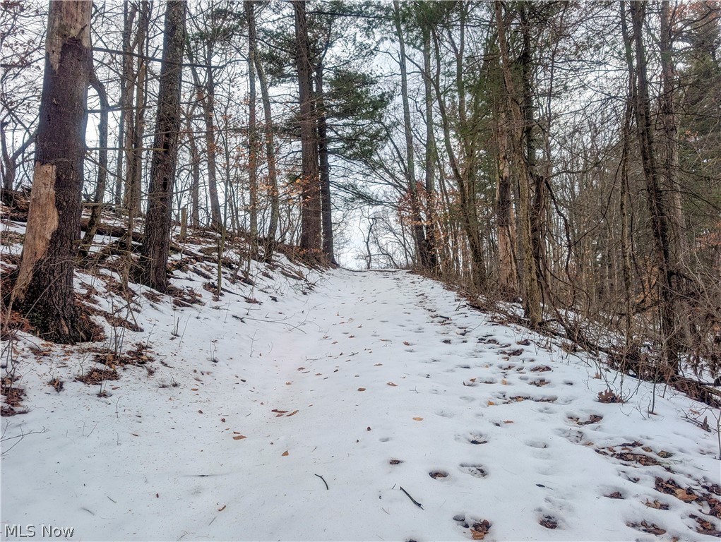 0 Tract 12 Trail 233 Summerfield OH 43788