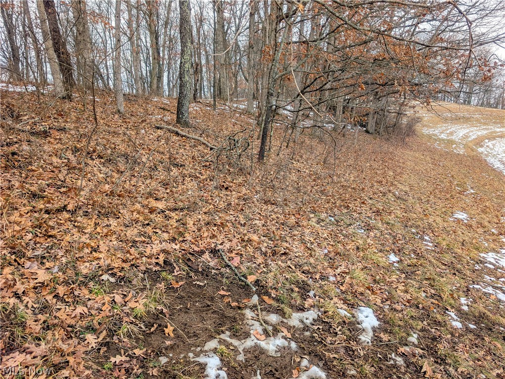 0 Tract 12 Trail 233 Summerfield OH 43788