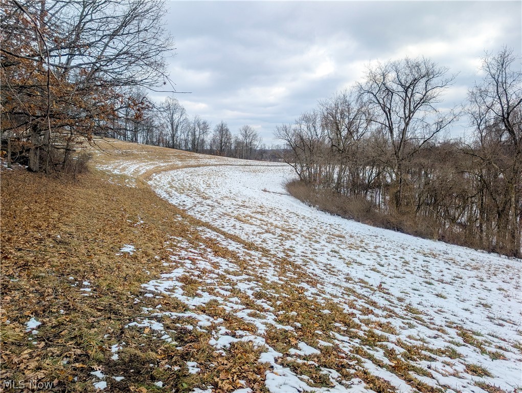 0 Tract 12 Trail 233 Summerfield OH 43788