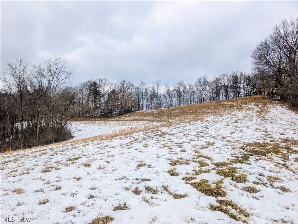 0 Tract 12 Trail 233 Summerfield OH 43788