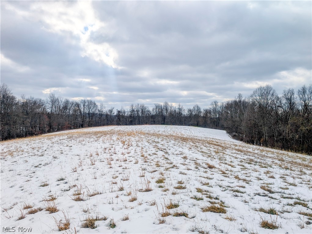 0 Tract 12 Trail 233 Summerfield OH 43788