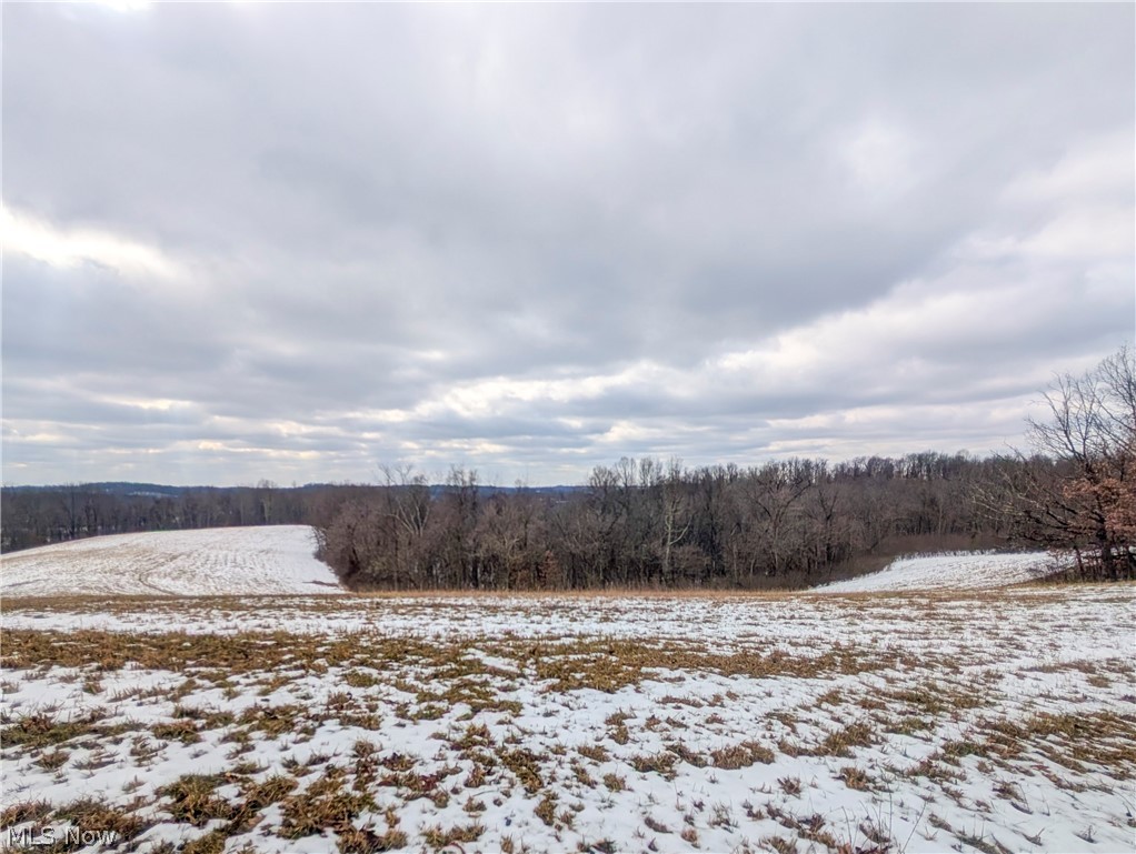 0 Tract 12 Trail 233 Summerfield OH 43788
