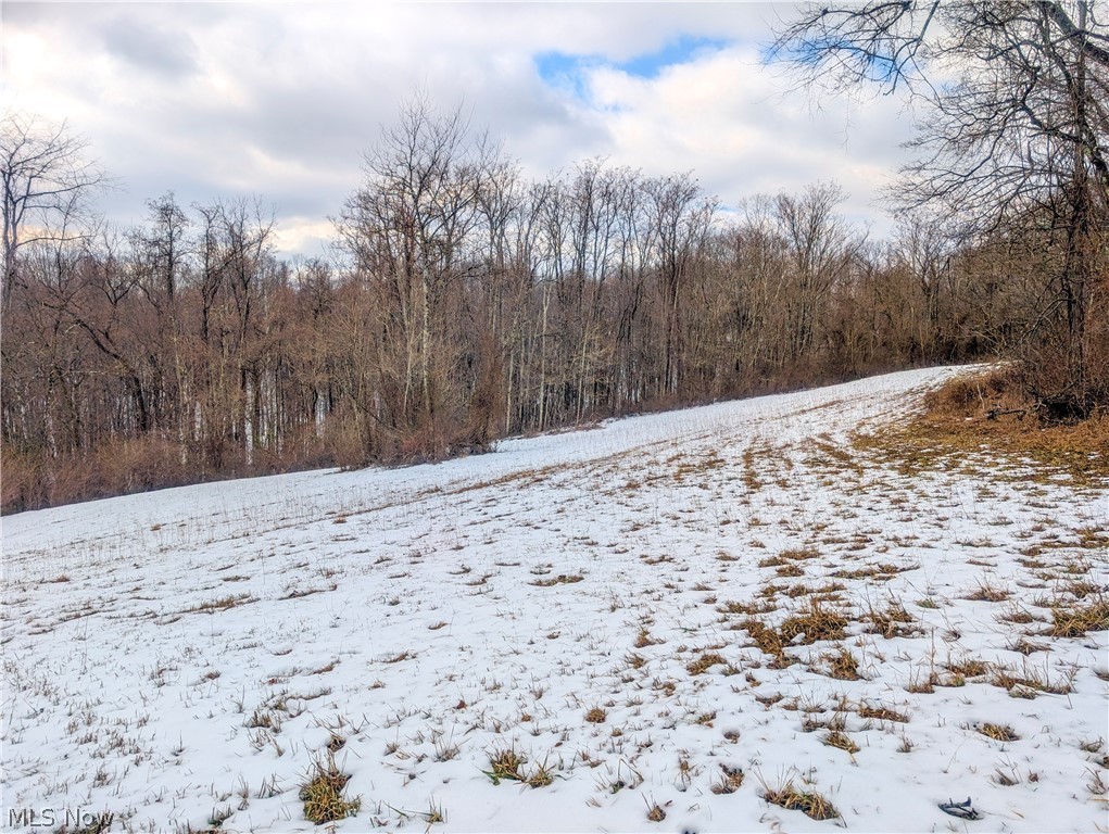 0 Tract 12 Trail 233 Summerfield OH 43788