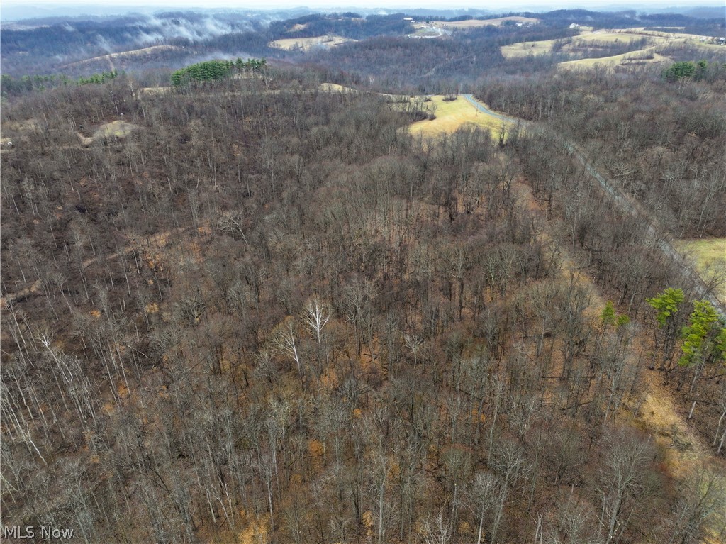 0 Tract 12 Trail 233 Summerfield OH 43788
