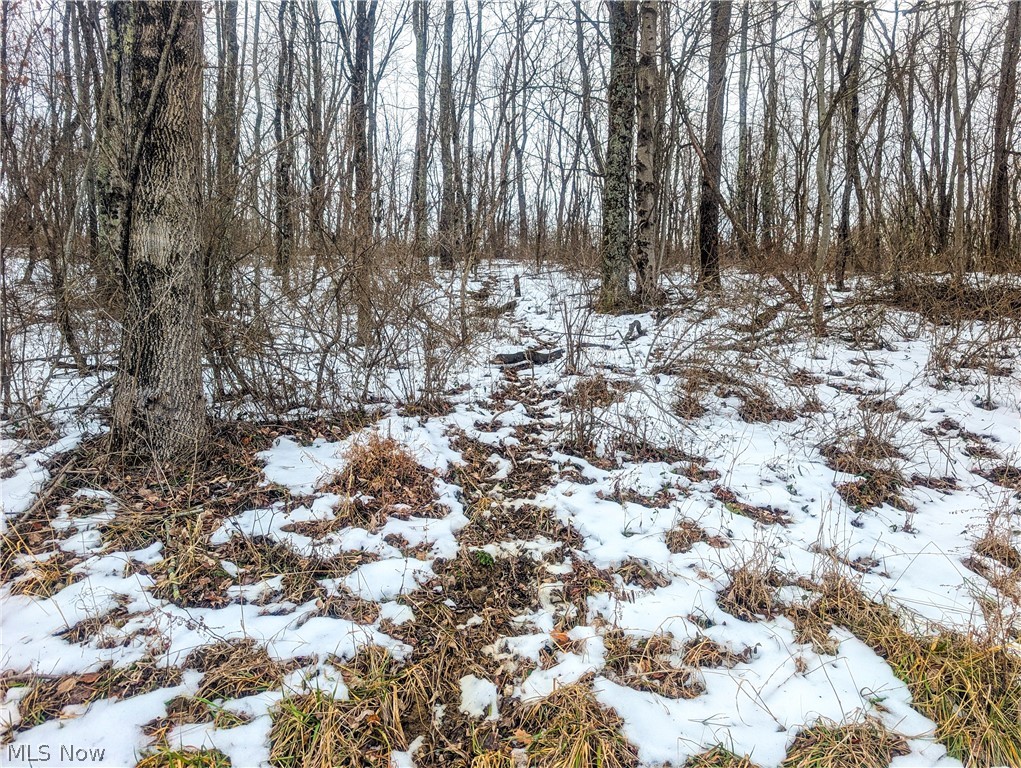 0 Tract 12 Trail 233 Summerfield OH 43788