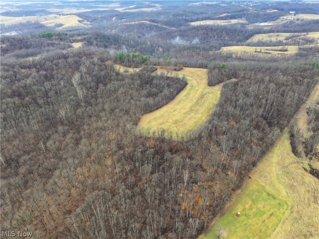 0 Tract 12 Trail 233 Summerfield OH 43788