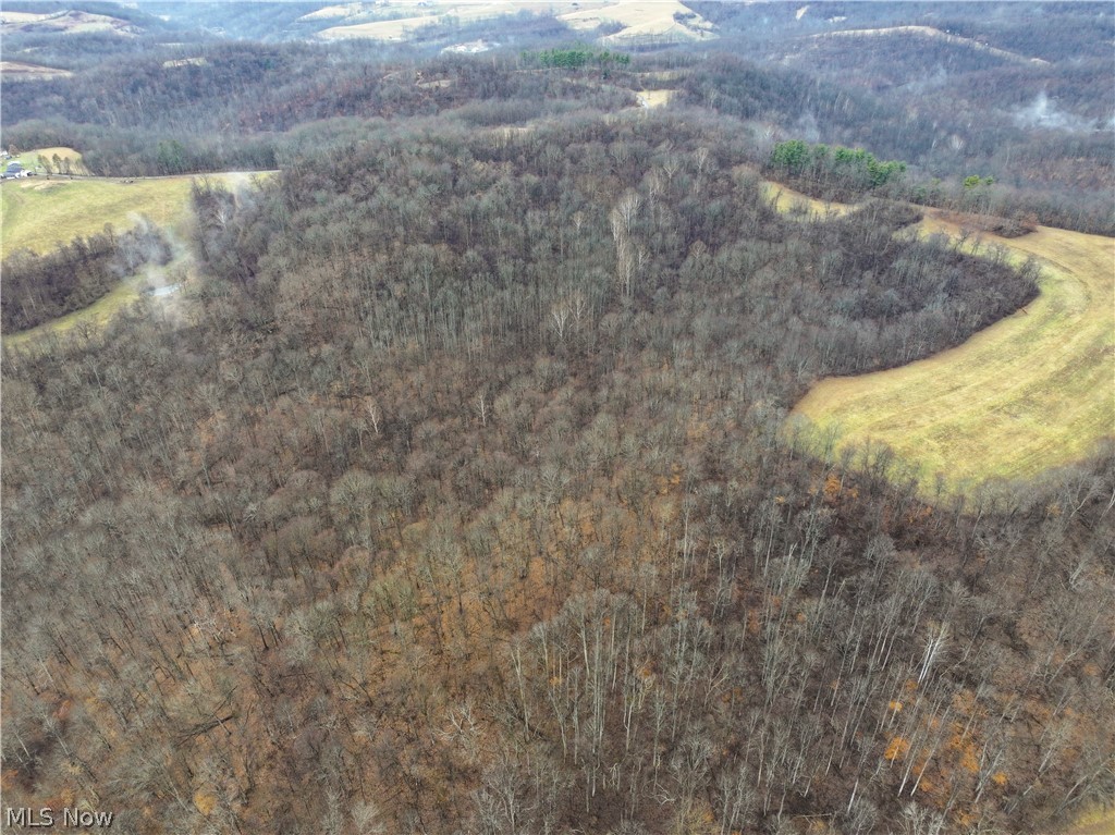 0 Tract 12 Trail 233 Summerfield OH 43788