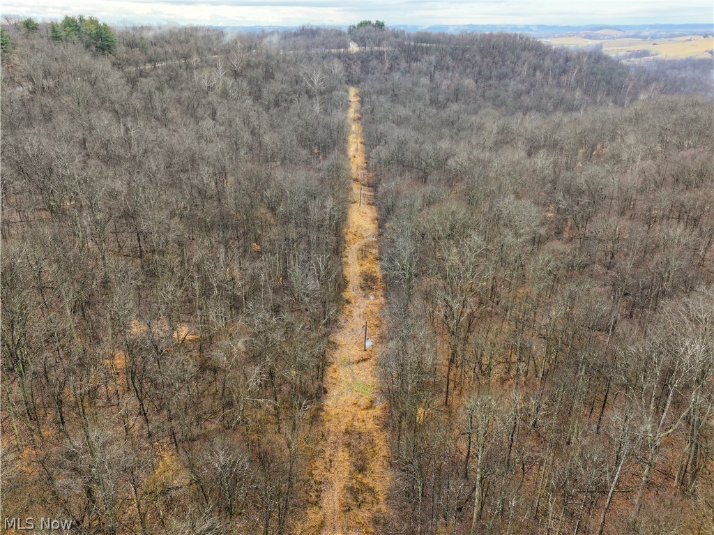 0 Tract 12 Trail 233 Summerfield OH 43788