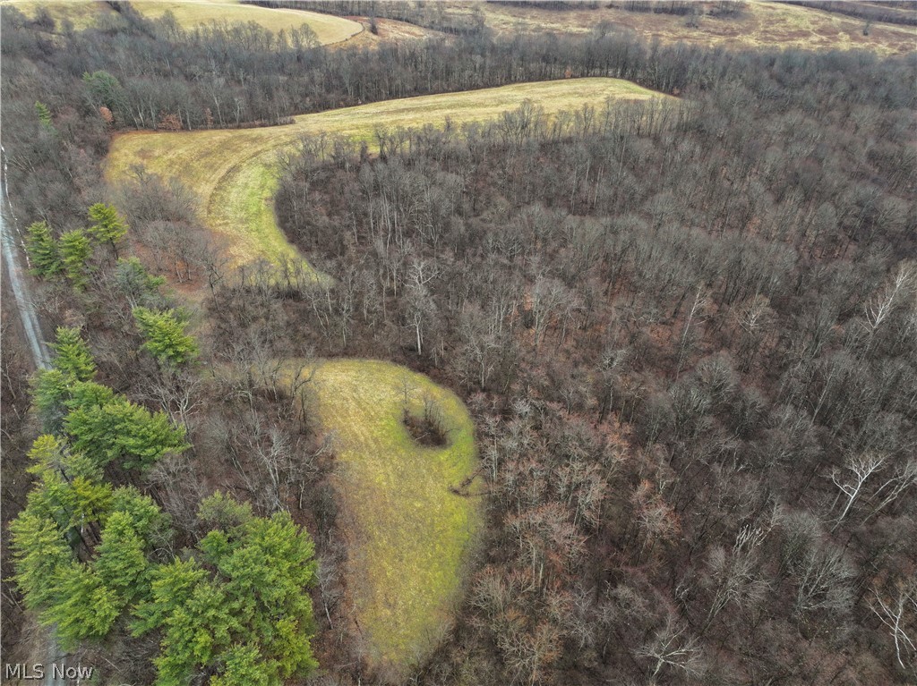 0 Tract 12 Trail 233 Summerfield OH 43788