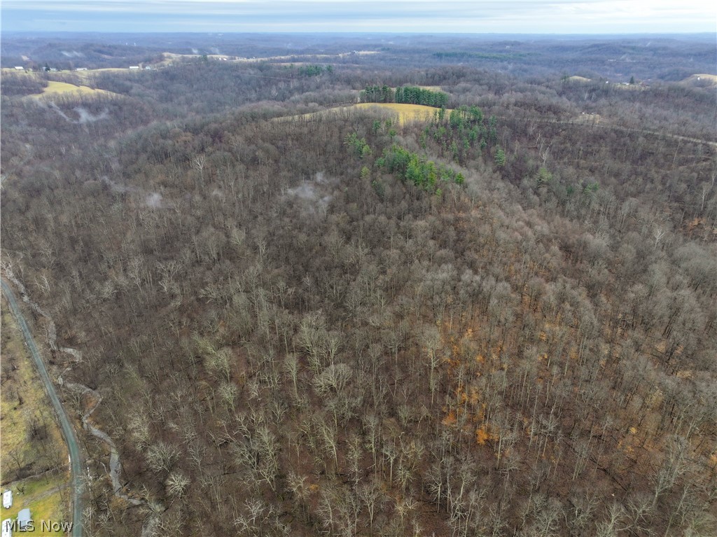 0 Tract 12 Trail 233 Summerfield OH 43788