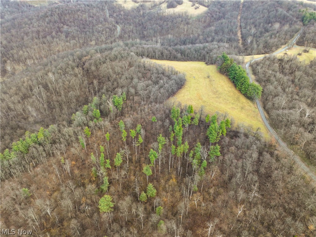 0 Tract 12 Trail 233 Summerfield OH 43788