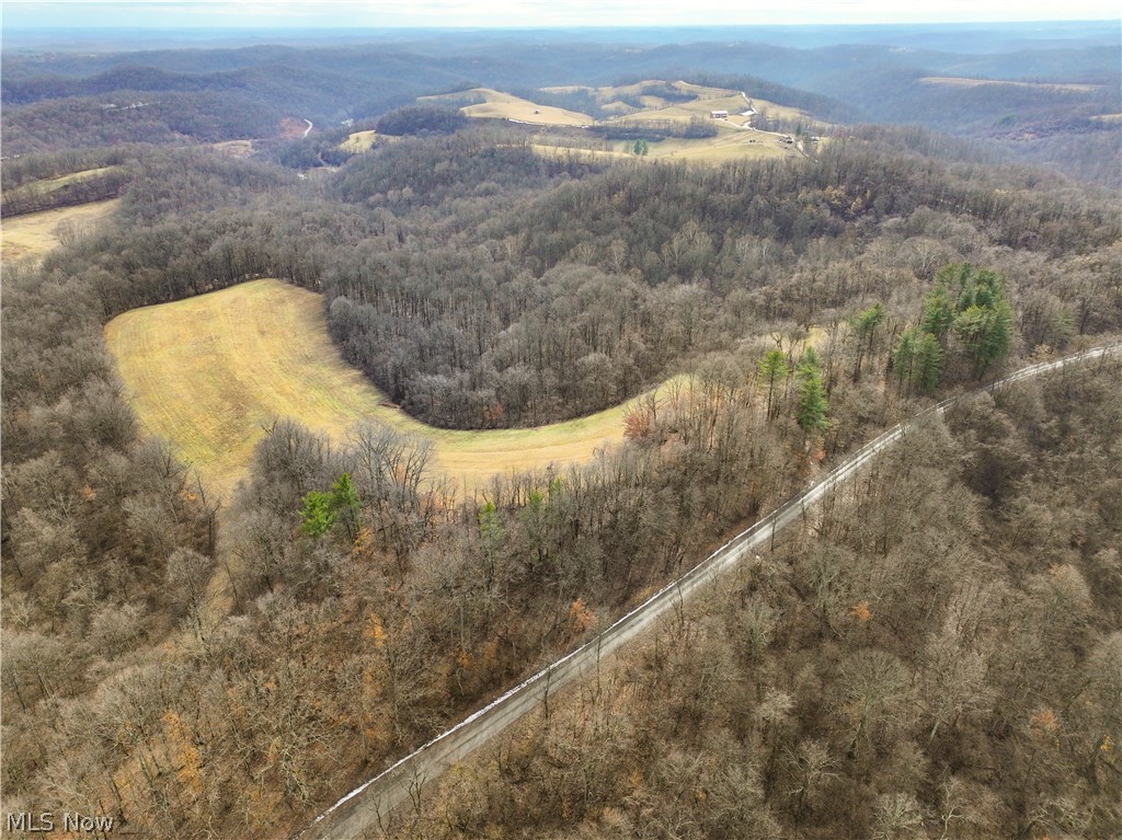 0 Tract 12 Trail 233 Summerfield OH 43788