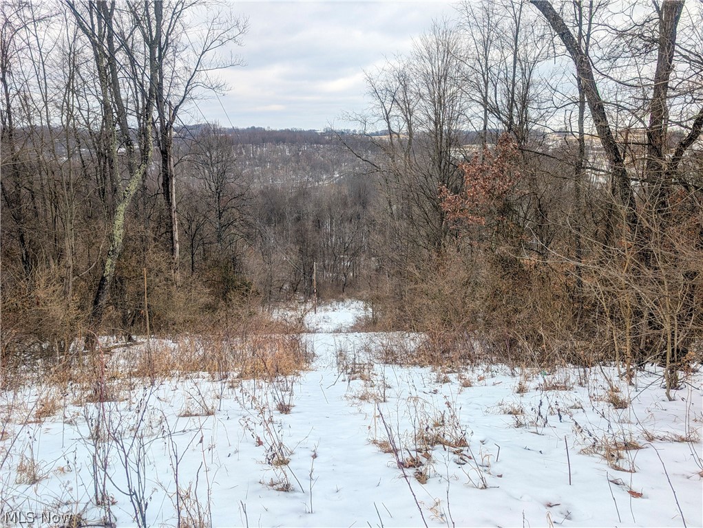 0 Tract 12 Trail 233 Summerfield OH 43788