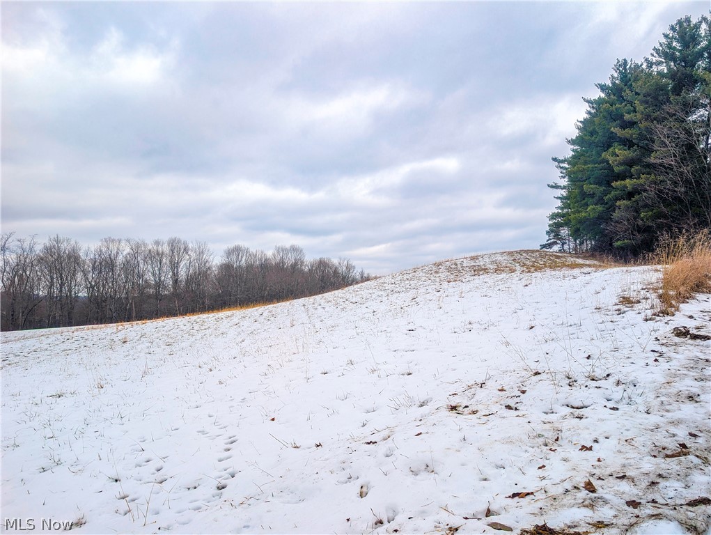 0 Tract 12 Trail 233 Summerfield OH 43788