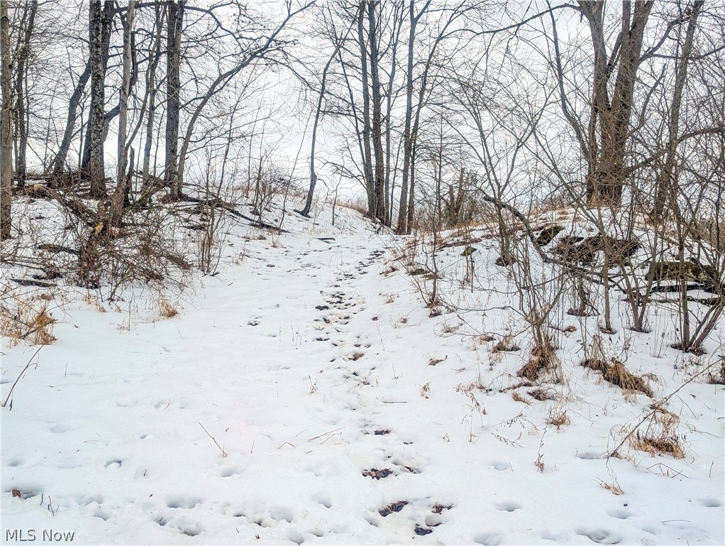 0 Tract 12 Trail 233 Summerfield OH 43788