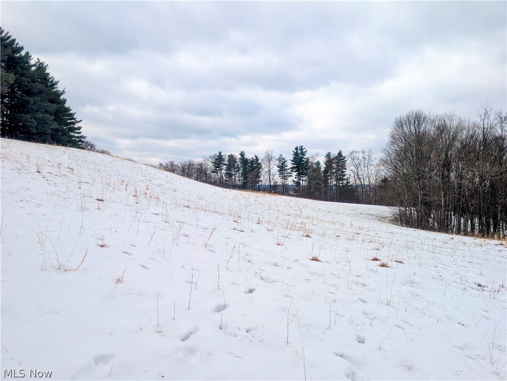 0 Tract 12 Trail 233 Summerfield OH 43788