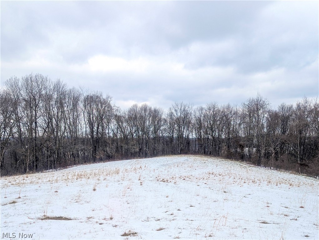 0 Tract 12 Trail 233 Summerfield OH 43788