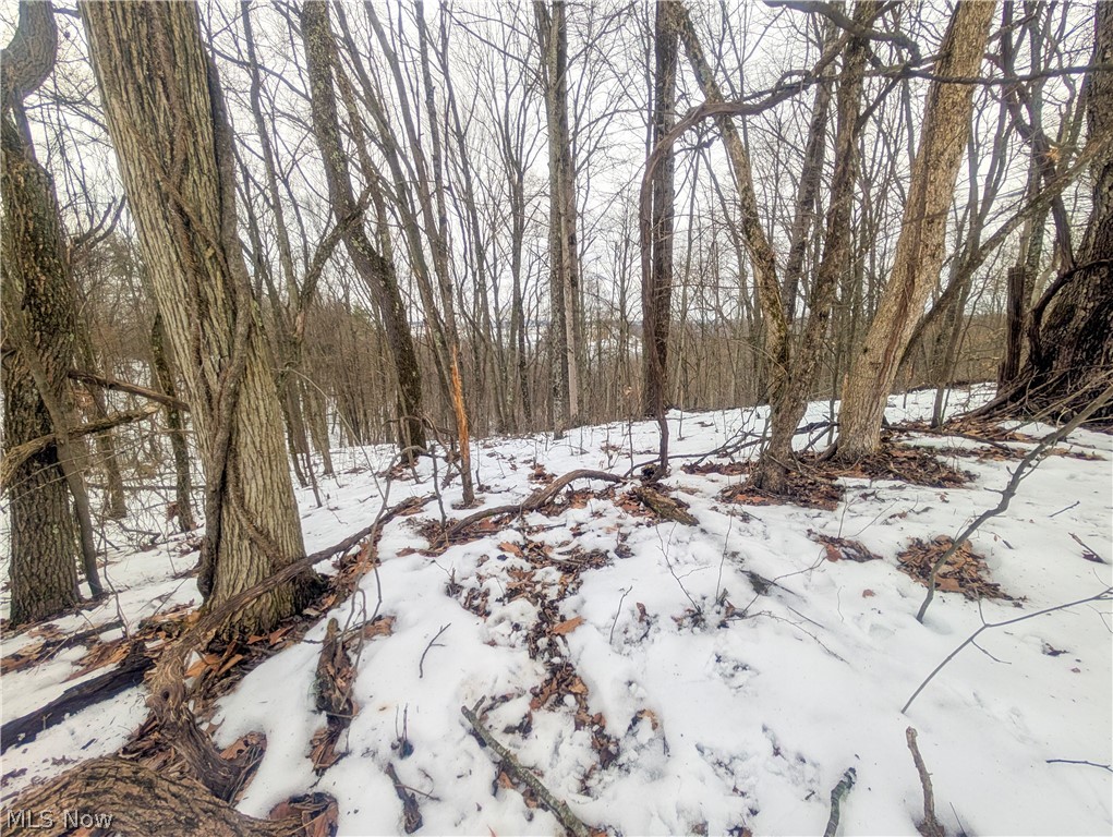 0 Tract 12 Trail 233 Summerfield OH 43788