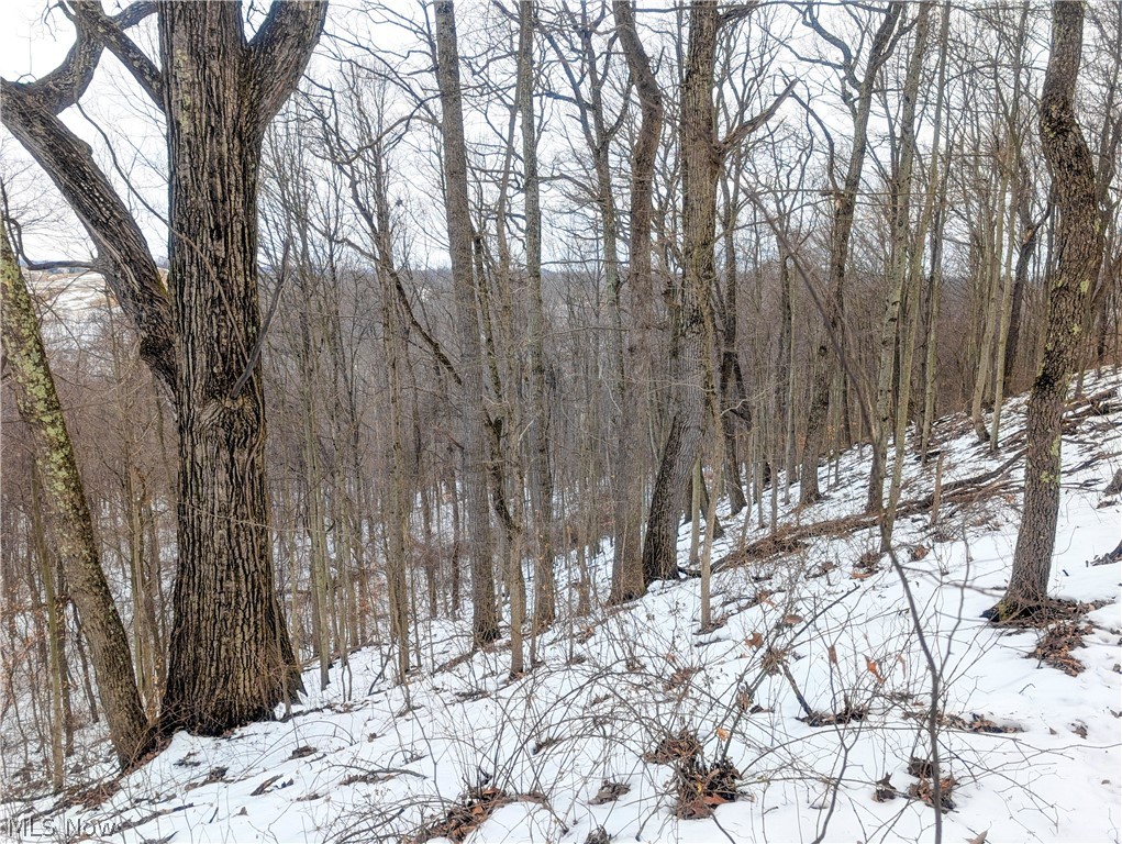 0 Tract 12 Trail 233 Summerfield OH 43788