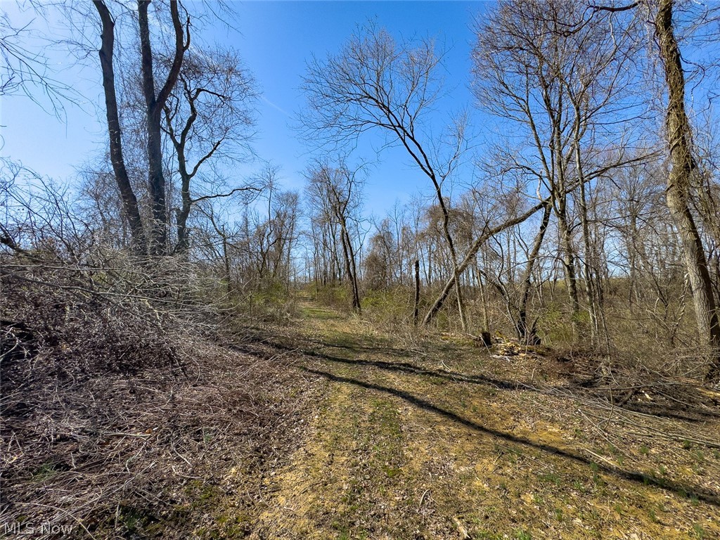 0 Lonesome Road Thornville OH 43076