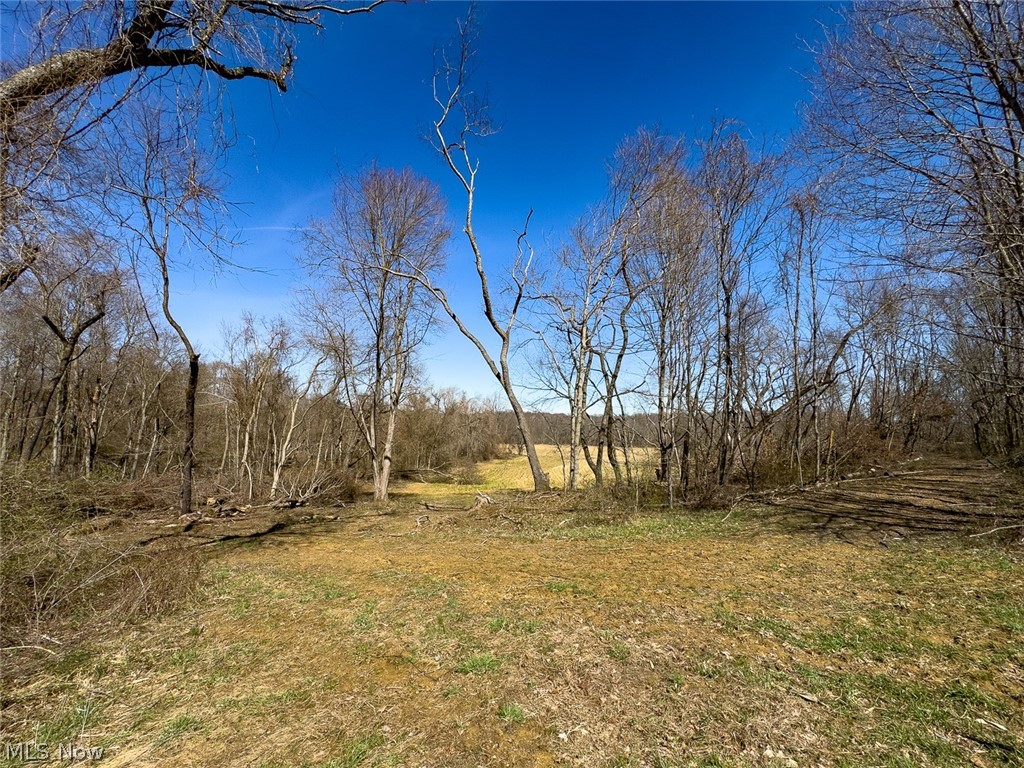 0 Lonesome Road Thornville OH 43076
