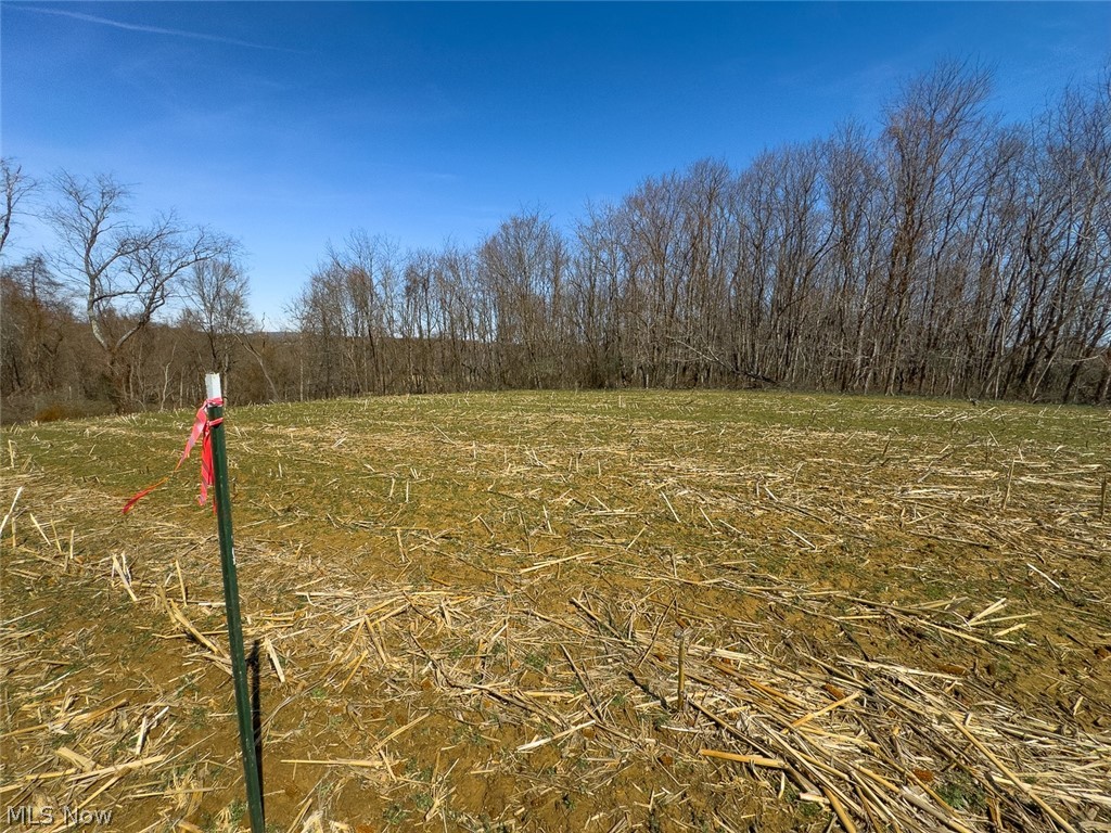 0 Lonesome Road Thornville OH 43076