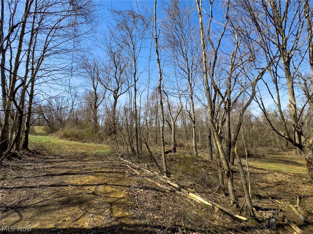 0 Lonesome Road Thornville OH 43076