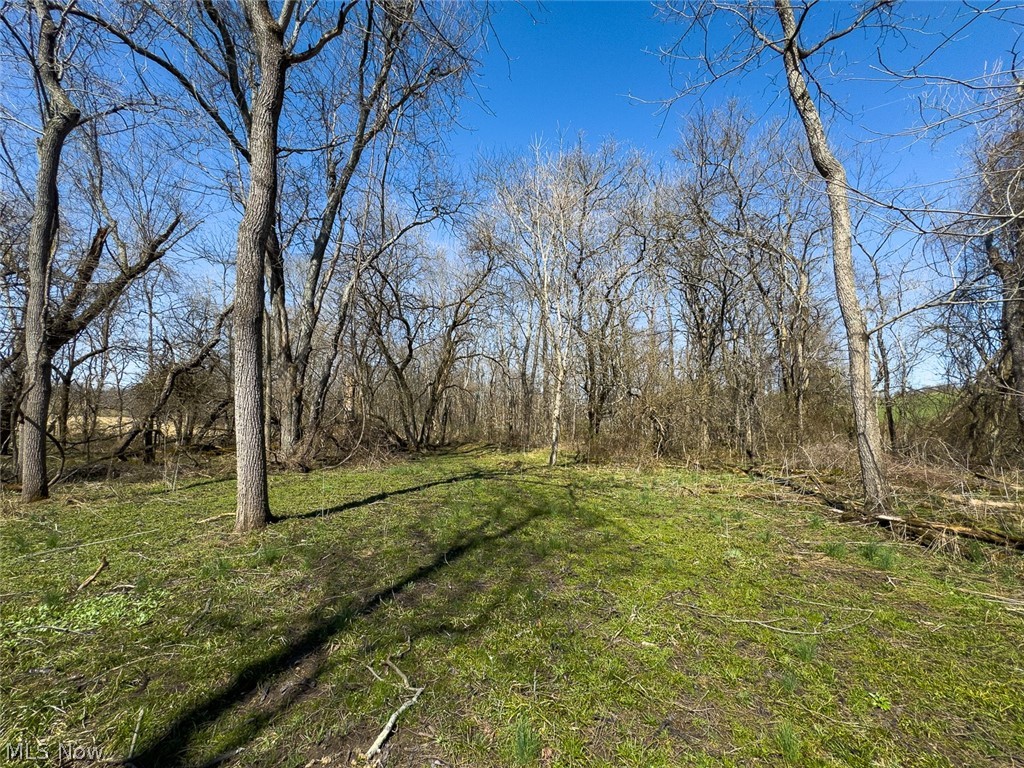 0 Lonesome Road Thornville OH 43076