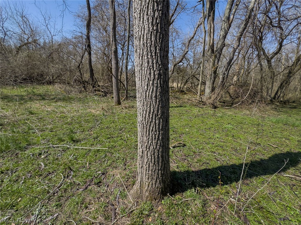 0 Lonesome Road Thornville OH 43076