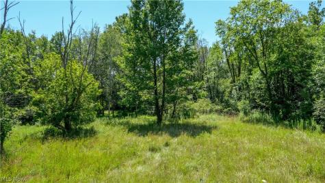 3254 Hommon Road Ravenna OH 44266