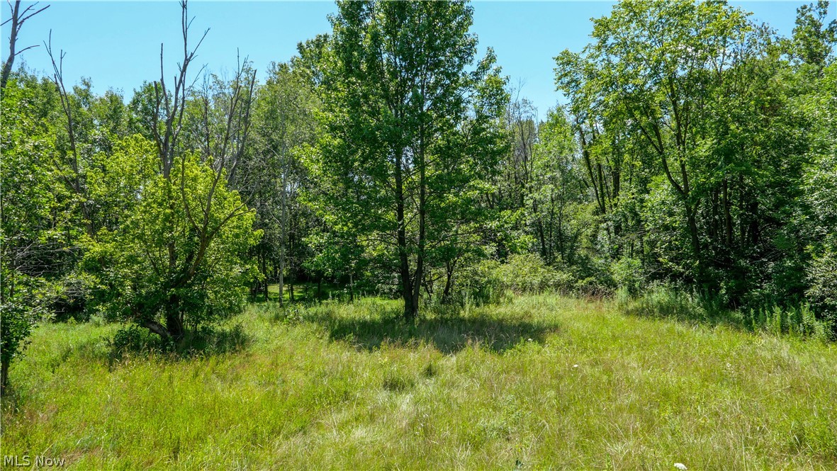 3254 Hommon Road Ravenna OH 44266
