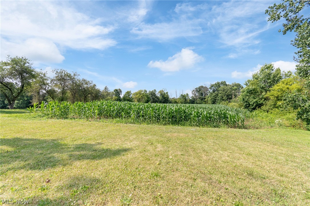 Wadsworth Road Wadsworth OH 44281