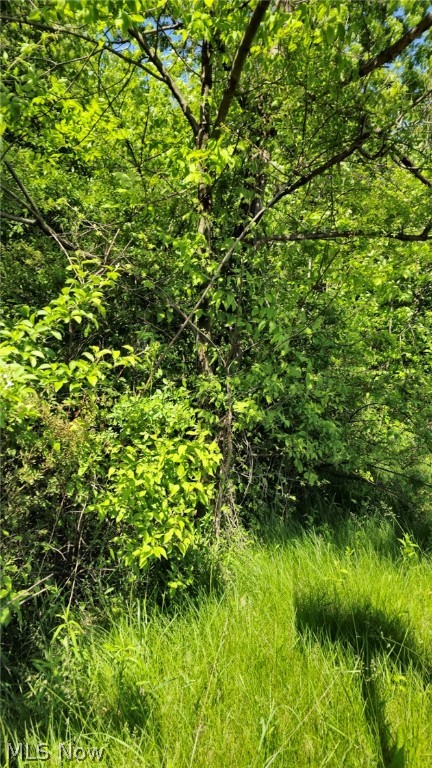 Mathews Road Boardman OH 44512