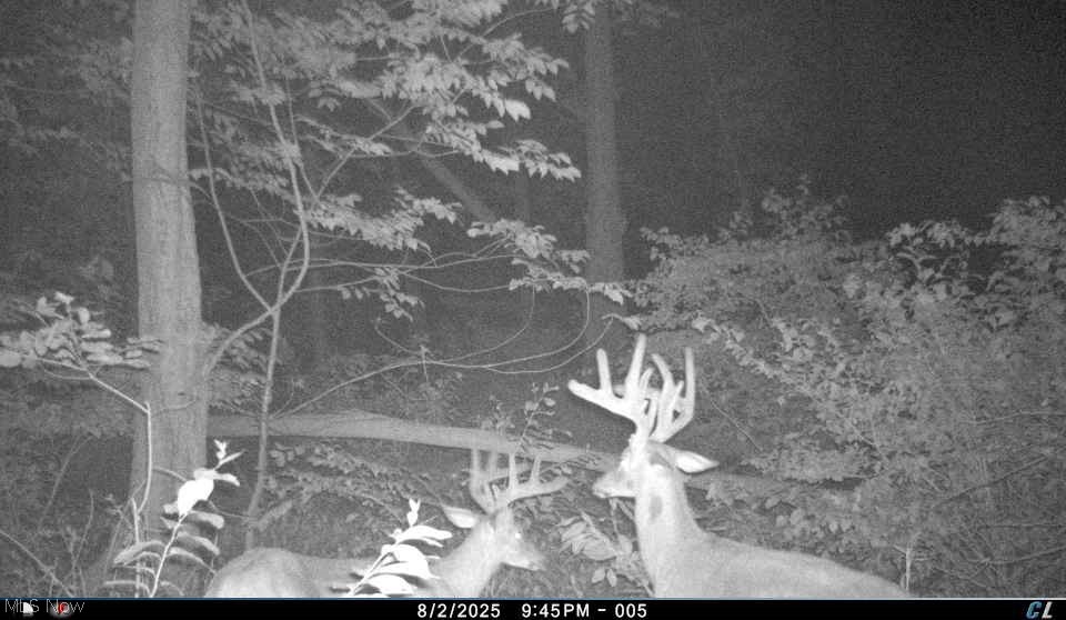 12167 Mantua Center Road Mantua OH 44255