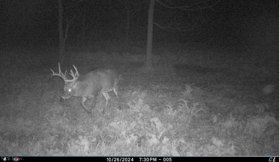 12167 Mantua Center Road Mantua OH 44255