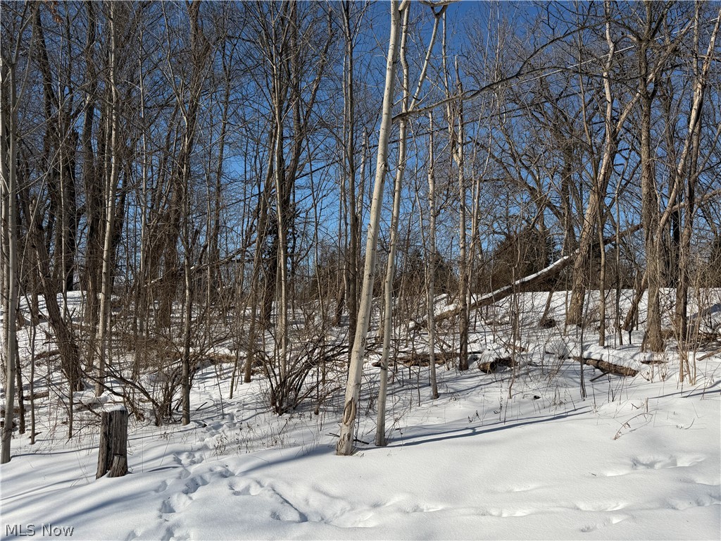 Old Weymouth Road Medina OH 44256