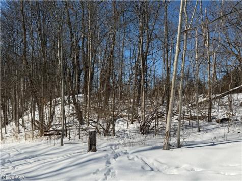 Old Weymouth Road Medina OH 44256