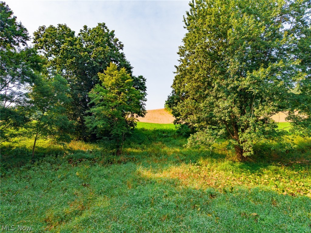 Stone Avenue Navarre OH 44662
