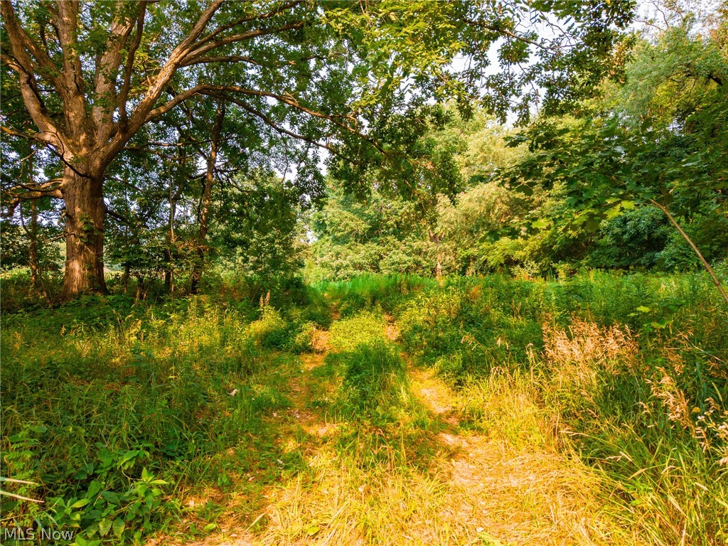 Stone Avenue Navarre OH 44662