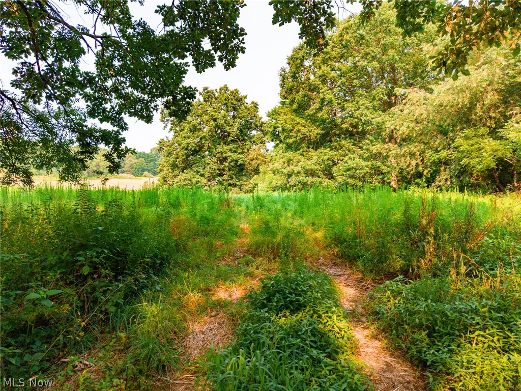 Stone Avenue Navarre OH 44662