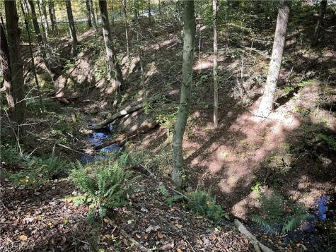 Tr 2 Lot 7 Streetsboro Road Richfield OH 44286