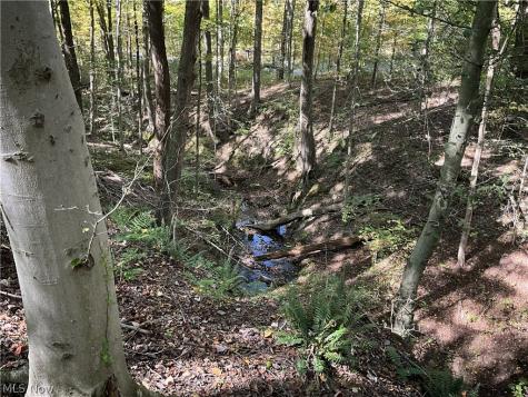 Tr 2 Lot 7 Streetsboro Road Richfield OH 44286