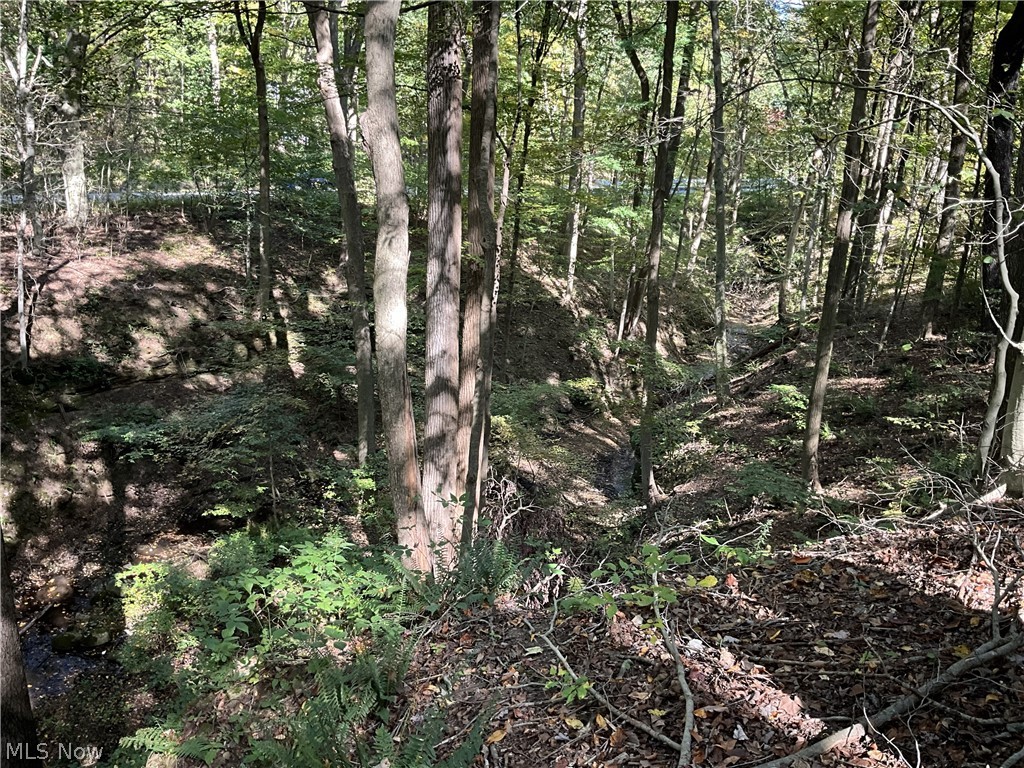 Tr 2 Lot 7 Streetsboro Road Richfield OH 44286