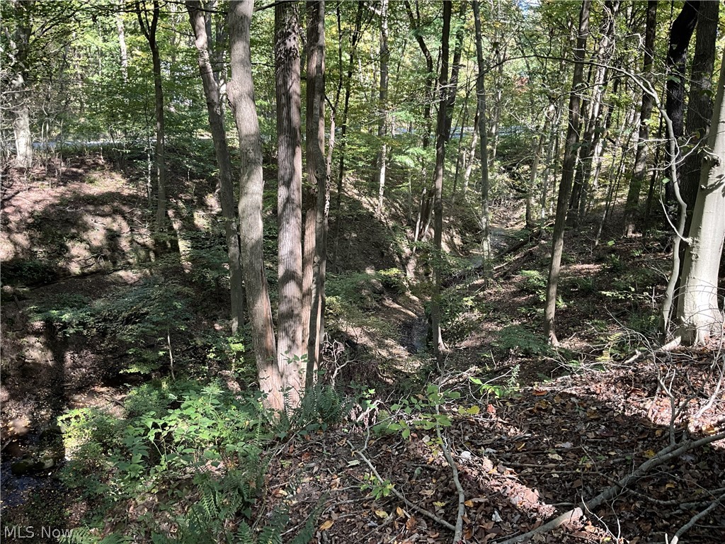 Tr 2 Lot 7 Streetsboro Road Richfield OH 44286