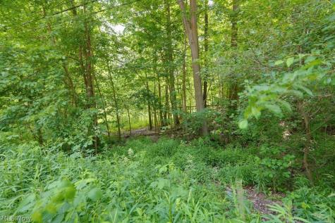 0 N Chillicothe Road Aurora OH 44202