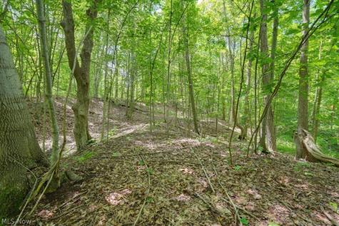0 N Chillicothe Road Aurora OH 44202