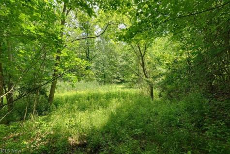 0 N Chillicothe Road Aurora OH 44202