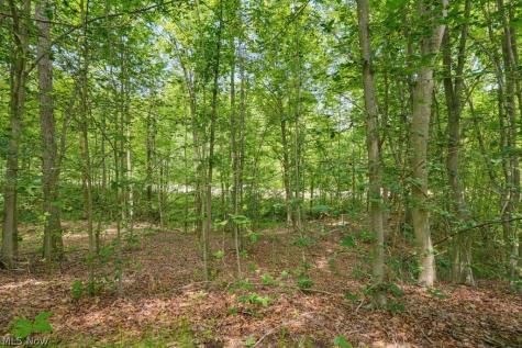 0 N Chillicothe Road Aurora OH 44202